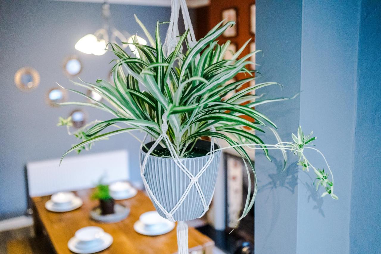 Spacious Modern Chester Home - Great Location エクステリア 写真
