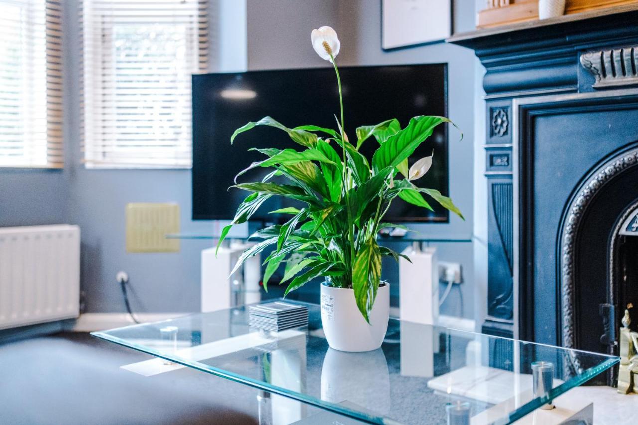 Spacious Modern Chester Home - Great Location エクステリア 写真